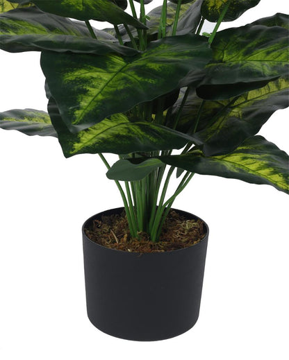 Dieffenbachia Real Touch Artificial Plant with Black Pot | 3 ft