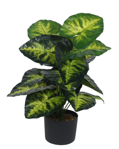 Dieffenbachia Real Touch Artificial Plant with Black Pot | 3 ft