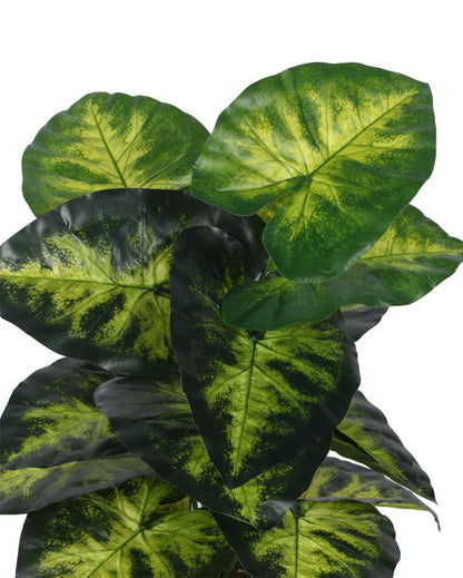 Dieffenbachia Real Touch Artificial Plant with Black Pot | 3 ft