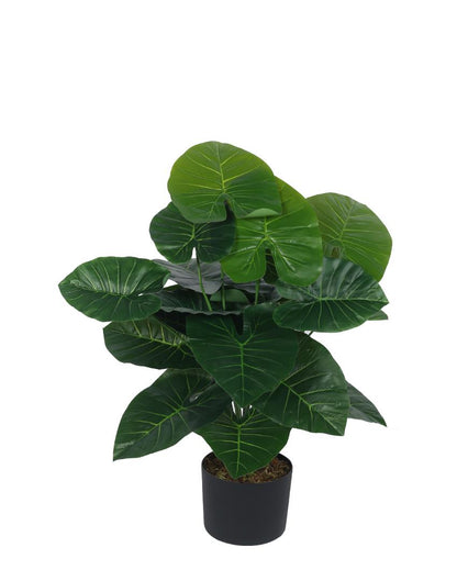 Rubber Real Touch Artificial Plant with Black Pot | 3 ft