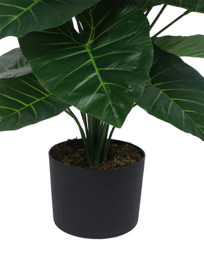 Rubber Real Touch Artificial Plant with Black Pot | 3 ft