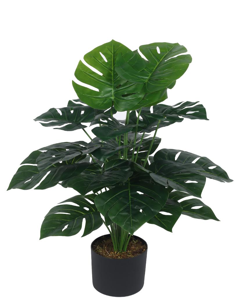 Monstera Real Touch Artificial Plant with Black Pot | 3 ft