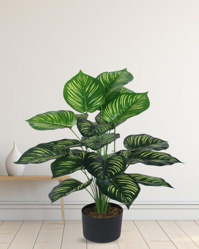 Nic Calathea Real Touch Artificial Plant with Black Pot | 3 ft