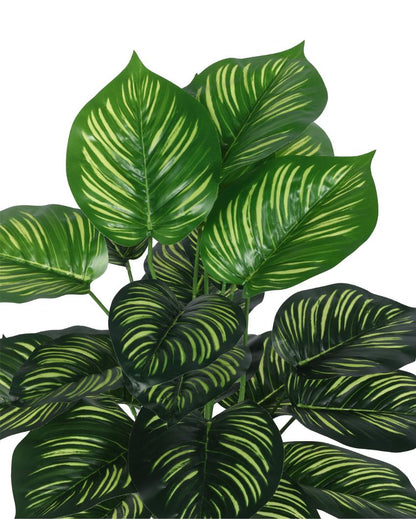 Nic Calathea Real Touch Artificial Plant with Black Pot | 3 ft