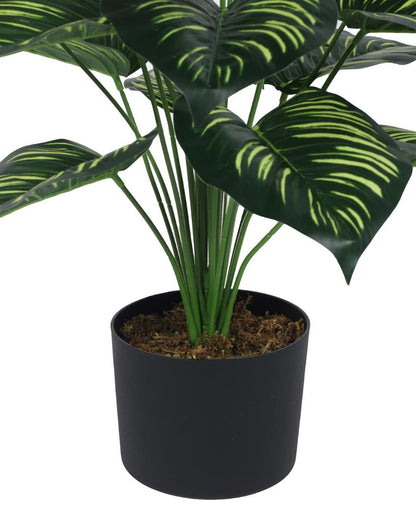 Nic Calathea Real Touch Artificial Plant with Black Pot | 3 ft