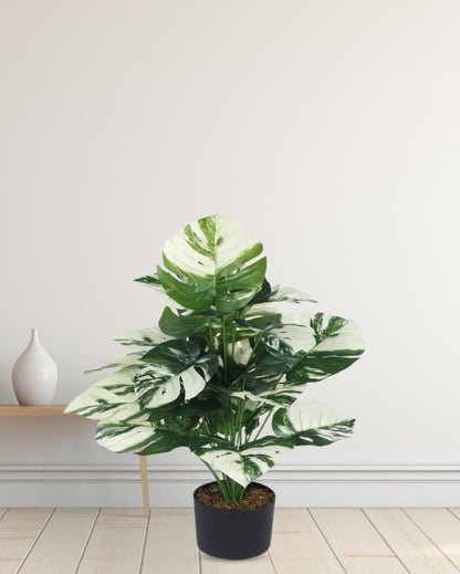 Monstera White Real Touch Artificial Plant with Black Pot | 3 ft