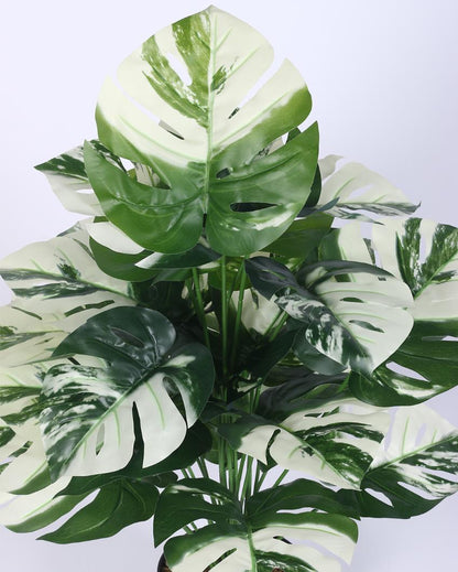 Monstera White Real Touch Artificial Plant with Black Pot | 3 ft