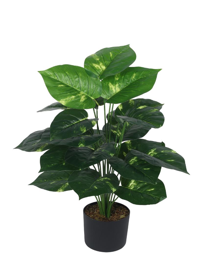 Photosh Real Touch Artificial Plant with Black Pot | 3 ft