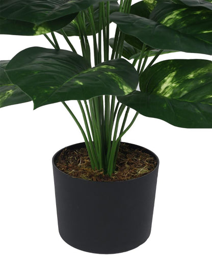 Photosh Real Touch Artificial Plant with Black Pot | 3 ft