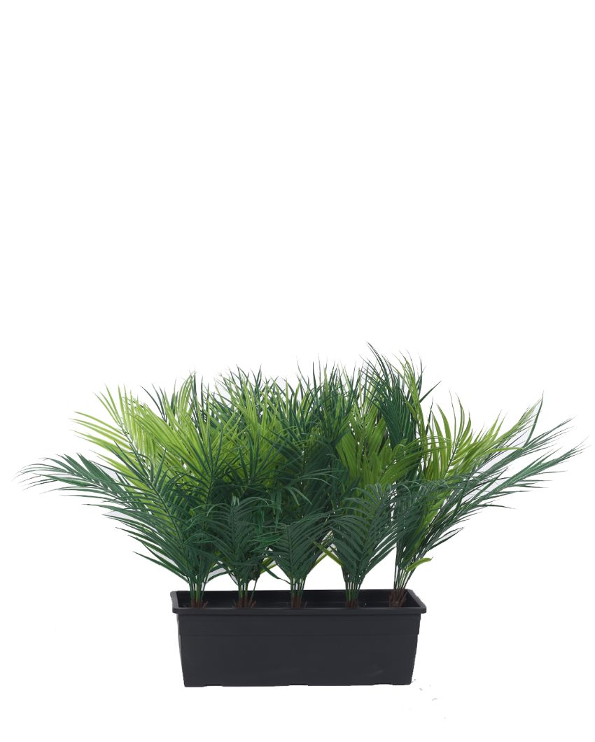 Artificial 5 Areca Palm Plants With Pot | 1.5 Feet