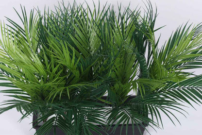 Artificial 5 Areca Palm Plants With Pot | 1.5 Feet