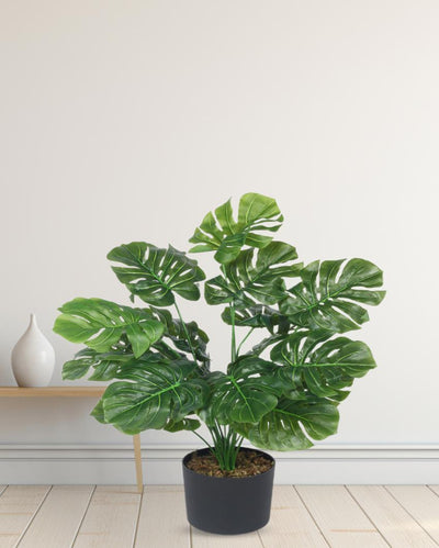 Monstera Real Touch Artificial Plant with Black Pot | 2 ft