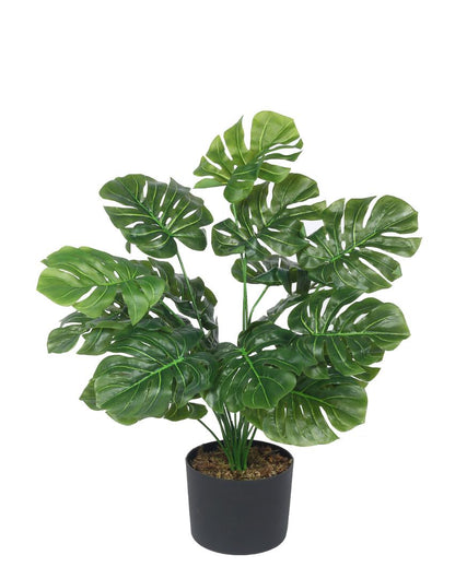 Monstera Real Touch Artificial Plant with Black Pot | 2 ft