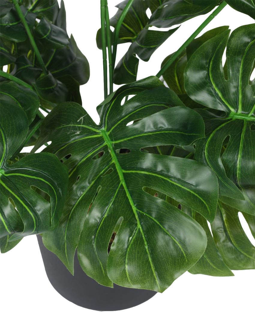 Monstera Real Touch Artificial Plant with Black Pot | 2 ft