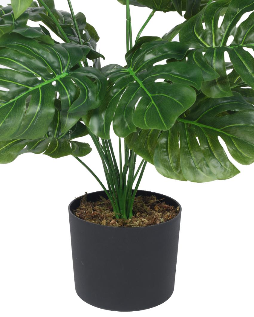 Monstera Real Touch Artificial Plant with Black Pot | 2 ft