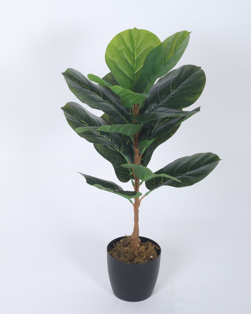 Artificial Fiddle Leaf Plastic Plants With Black Pot | 2.5 Feet