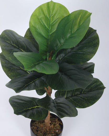 Artificial Fiddle Leaf Plastic Plants With Black Pot | 2.5 Feet