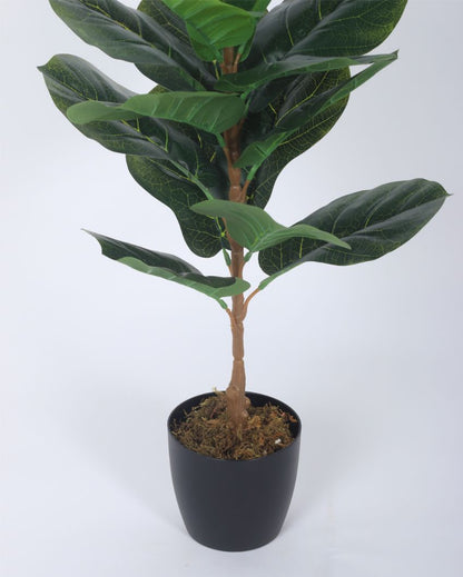 Artificial Fiddle Leaf Plastic Plants With Black Pot | 2.5 Feet