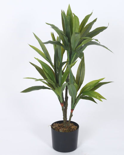 Artificial Dracaena Plastic Plants With Black Pot | 2.4 Feet