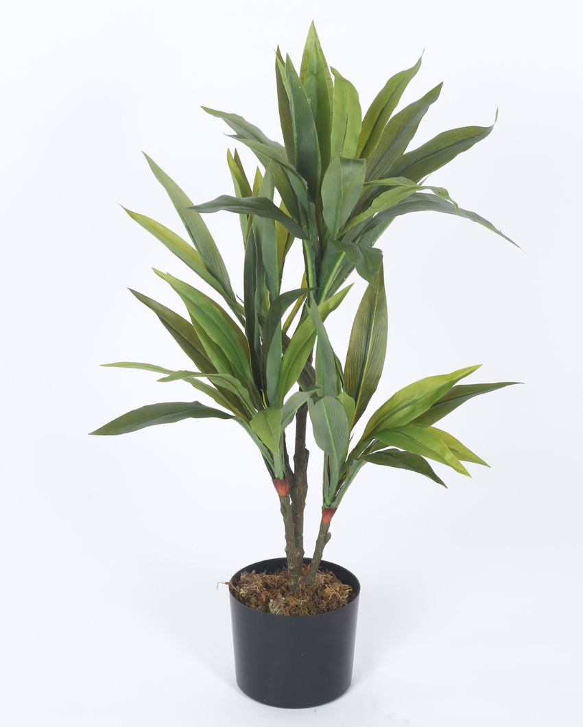 Artificial Dracaena Plastic Plants With Black Pot | 2.4 Feet