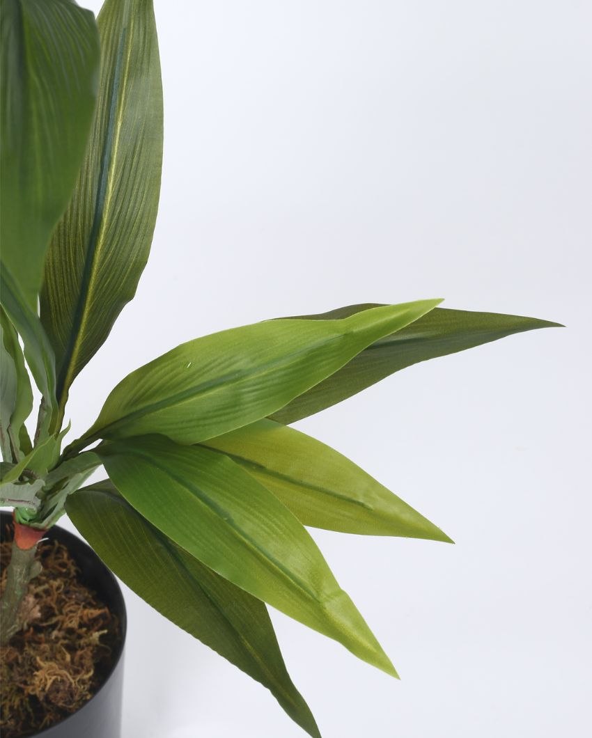 Artificial Dracaena Plastic Plants With Black Pot | 2.4 Feet