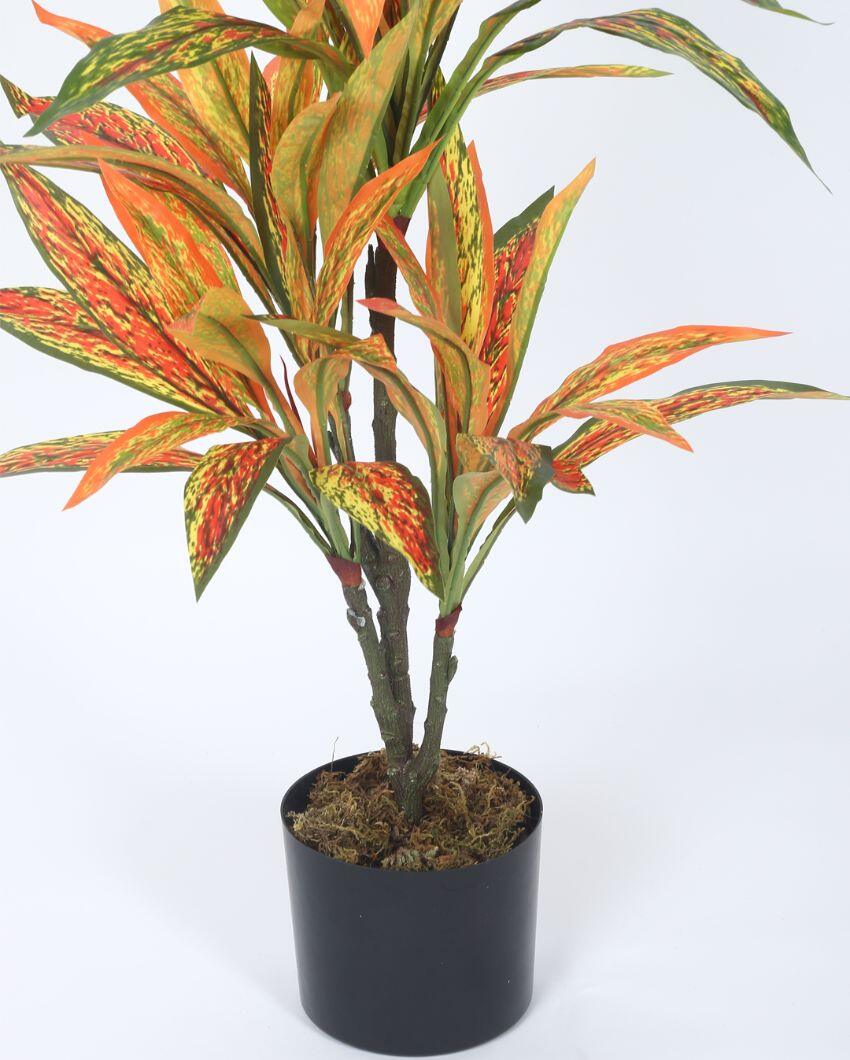 Artificial Dracaena Plastic Plants With Black Pot | 2.4 Feet