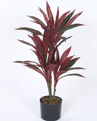 Artificial Dracaena Plastic Plants With Black Pot | 2.4 Feet