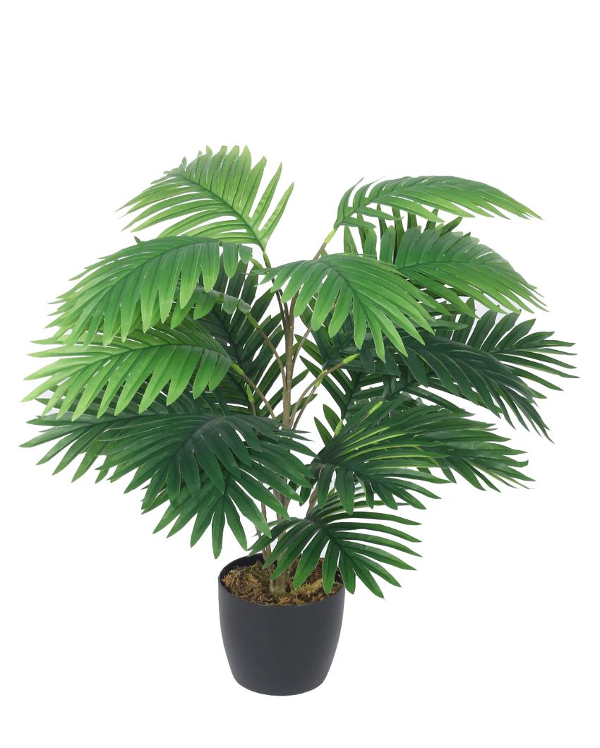 Areca Artificial Plant with Black Pot | 2 ft