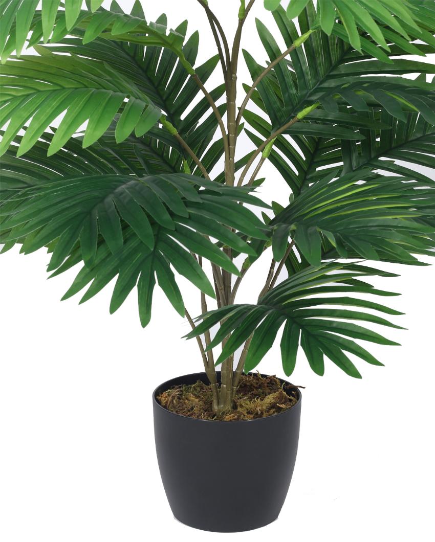 Areca Artificial Plant with Black Pot | 2 ft