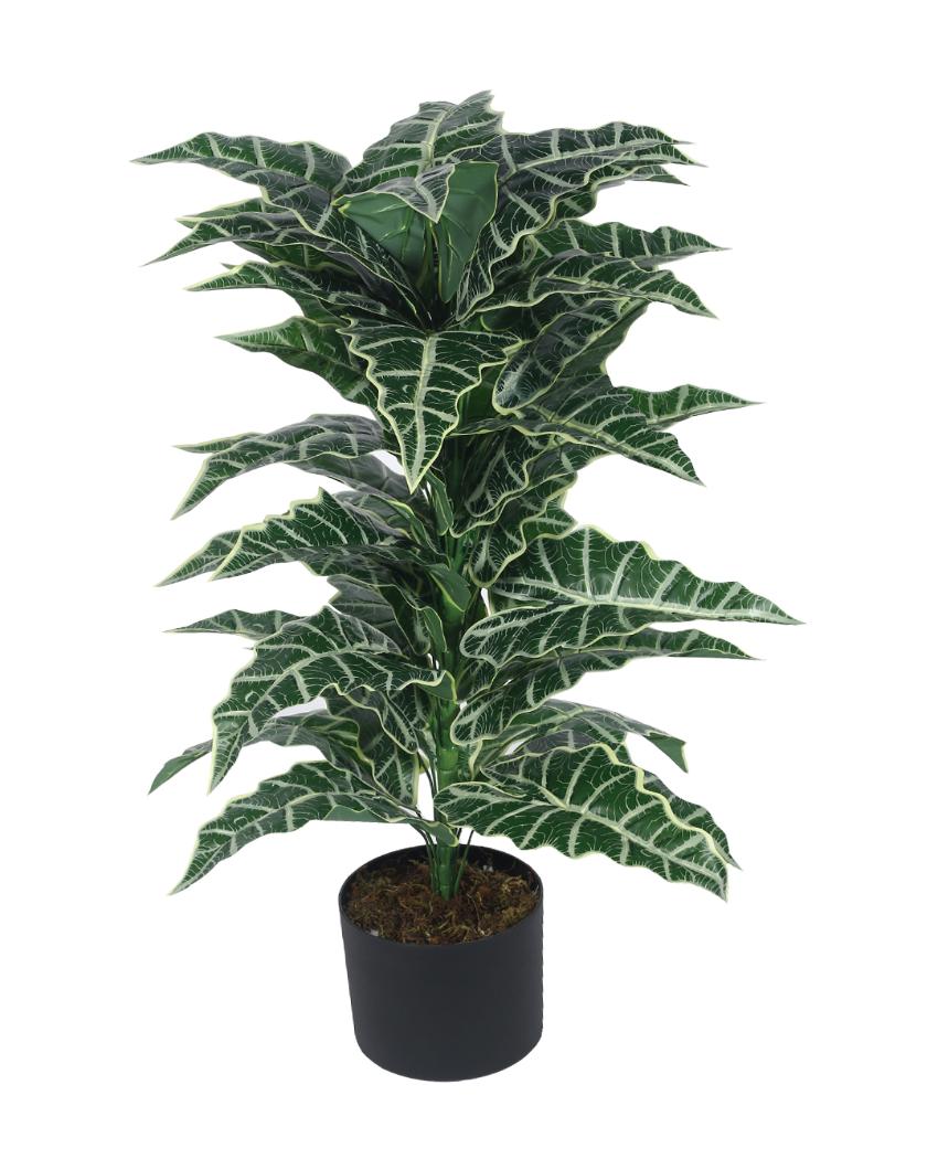 Artificial Plant with Black Pot | 3 ft