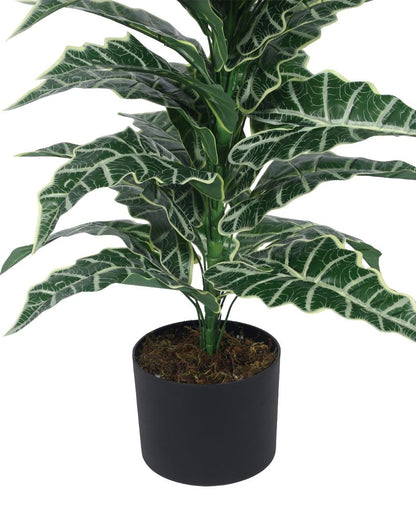 Artificial Plant with Black Pot | 3 ft