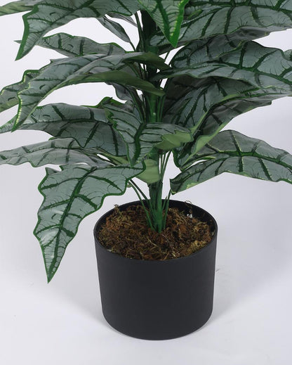 Happy Philo Artificial Plant with Black Pot | 3 ft