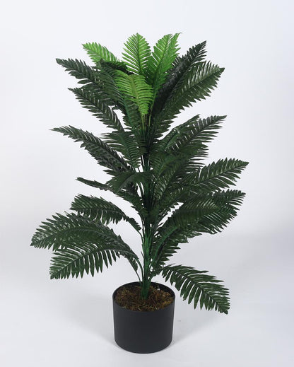 Boston Fern Artificial Plant with Black Pot | 3 ft