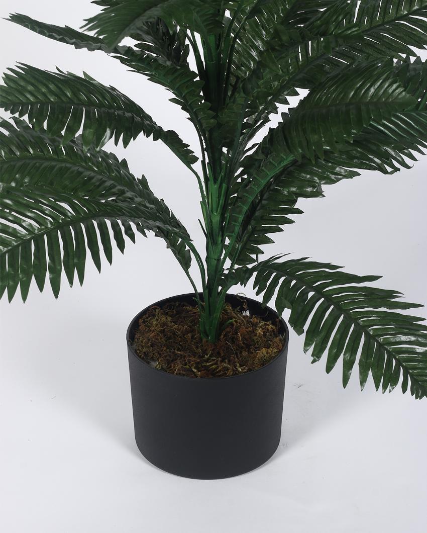 Boston Fern Artificial Plant with Black Pot | 3 ft