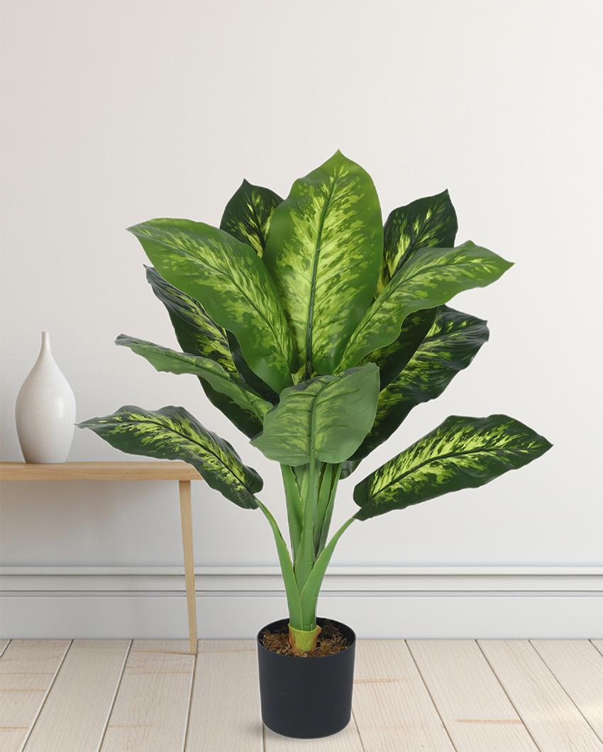 Calathea Real Touch Artificial Plant with Black Pot | 3 ft