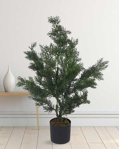 Classy Artificial Plant with Black Pot | 3 ft