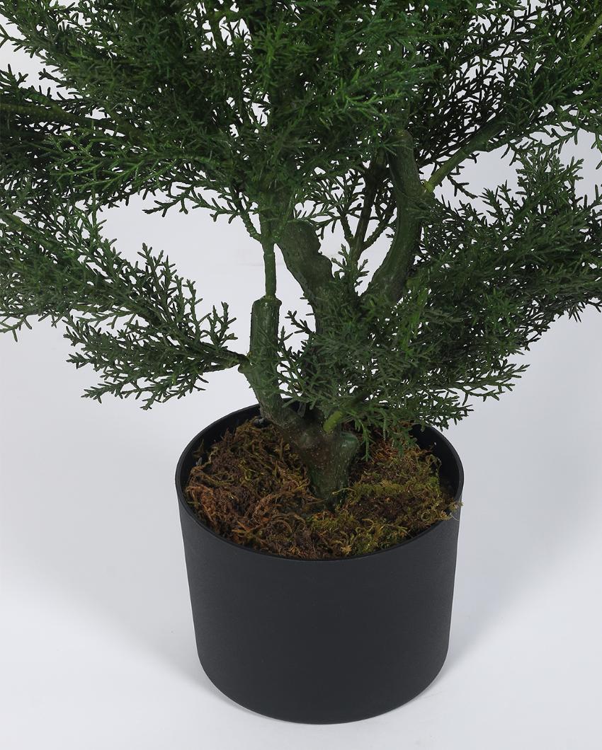 Classy Artificial Plant with Black Pot | 3 ft