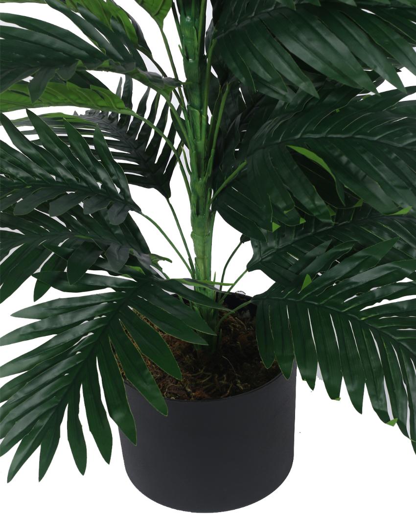 Areca Real Touch Artificial Plant with Black Pot | 2 ft