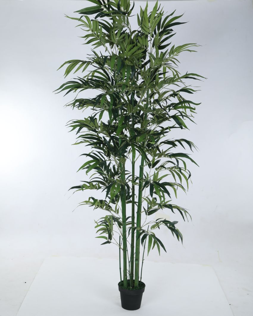 Green Bamboo Artificial Plant With Black Pot | 7.8 feet