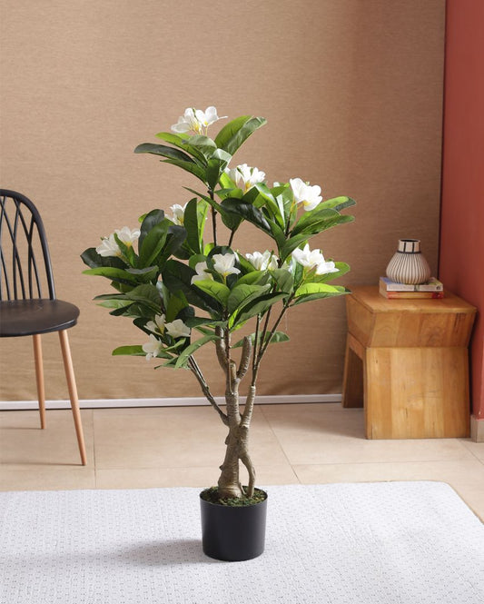 Artificial Green Frangipani Flowers Plant With Black Pot | 43 Inches