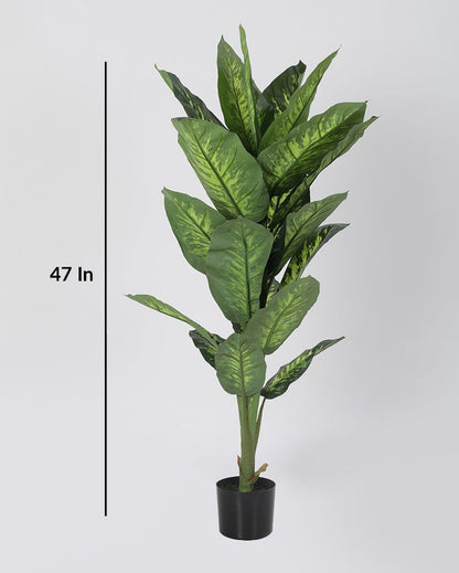Artificial Dieffenbachia in Pot Tall Silk Plants