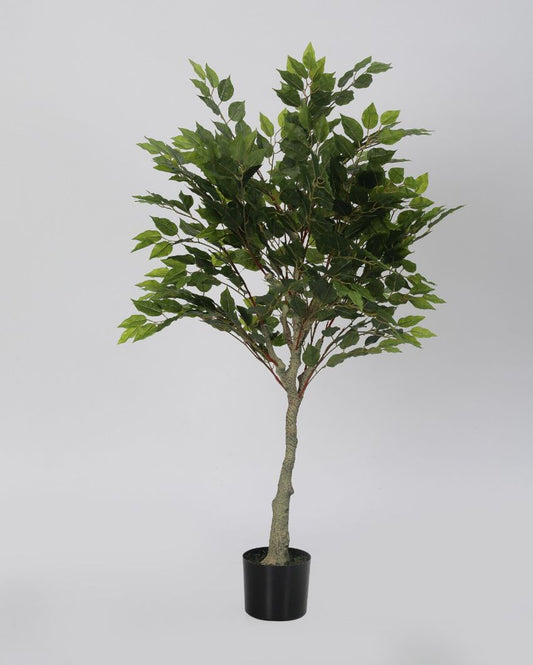 Artificial Ficus Green Silk Tree with Plastic Nursery Pot