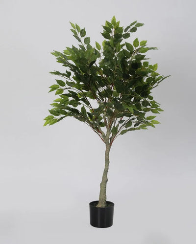 Artificial Ficus Green Silk Tree with Plastic Nursery Pot