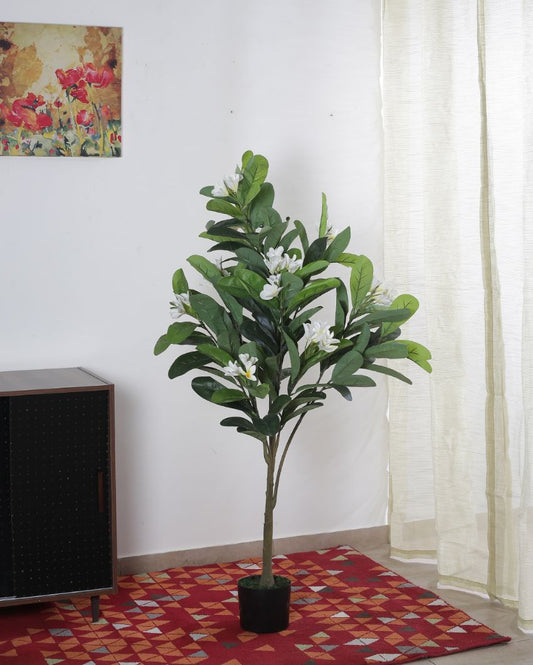 Artificial Green Frangipani Flowers Plant With Black Pot | 47 Inches
