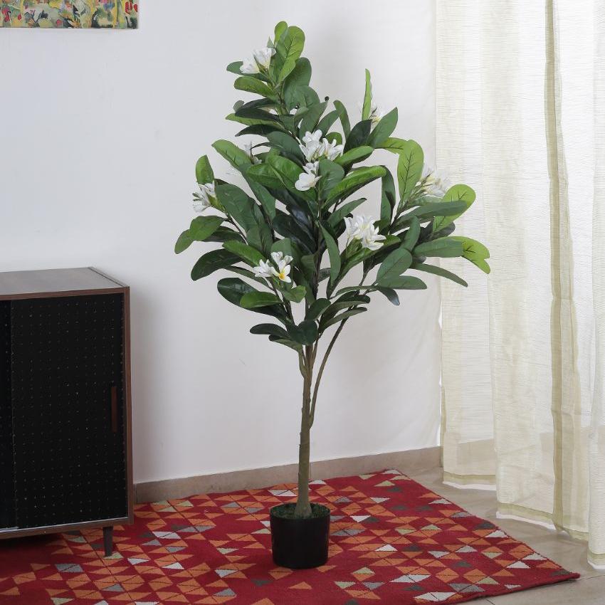 Artificial Green Frangipani Flowers Plant With Black Pot | 47 Inches