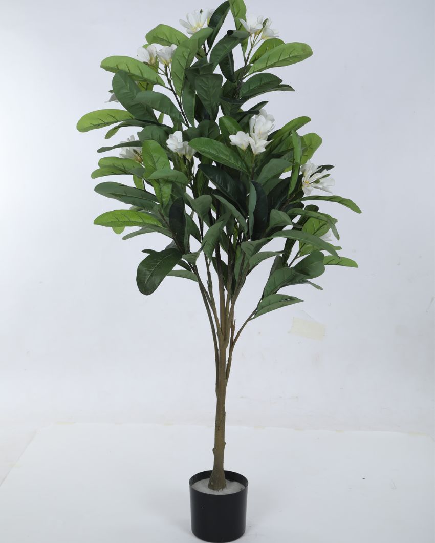 Artificial Green Frangipani Flowers Plant With Black Pot | 47 Inches