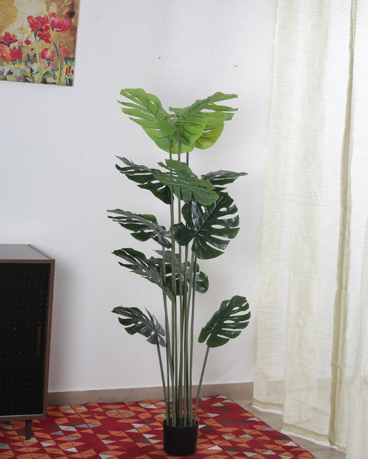 Artificial Real Touch Monstera Plant For Home Décor With Black Pot | 47 Inches