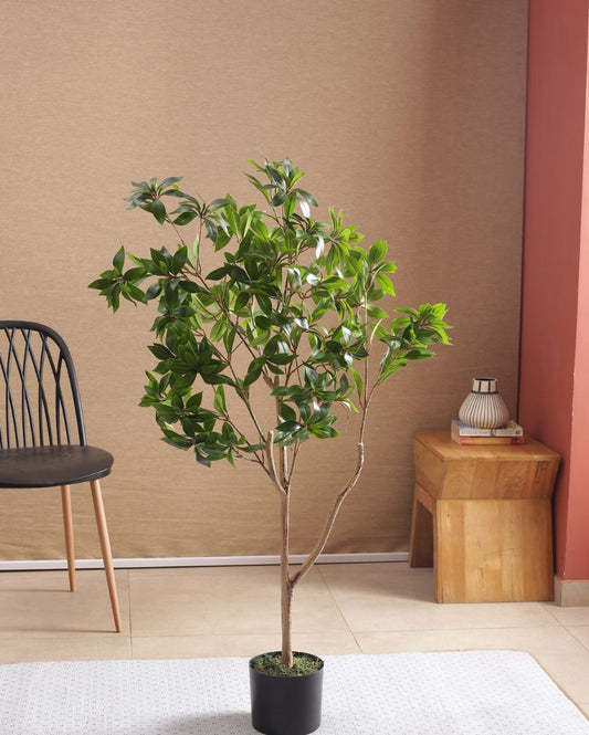 Artificial Cherry Laurel Plant With Black Pot | 49 Inches