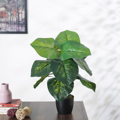 Artificial Pvc Dieffenbachia Silk Plant With Black Pot | 22 Inches