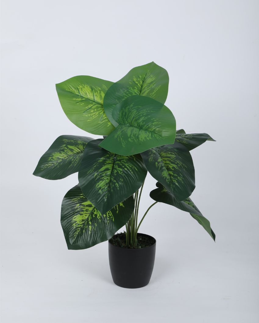 Artificial Pvc Dieffenbachia Silk Plant With Black Pot | 22 Inches